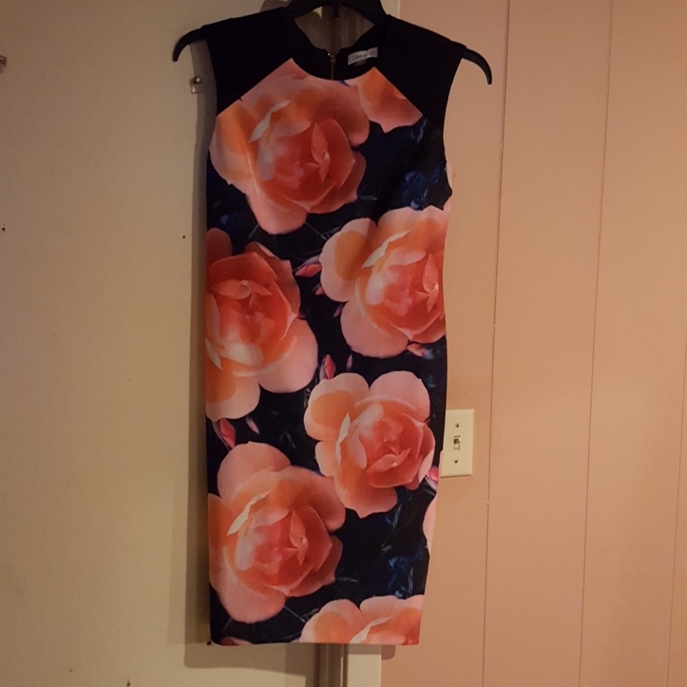 Calvin Klein Dress